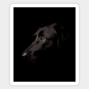 Black Labrador Face Magnet